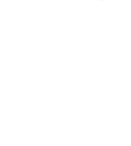 Reduce business risk icon